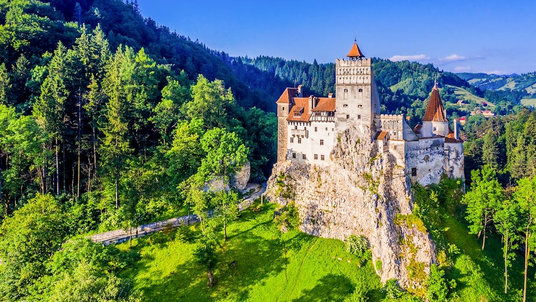 Bran Castle surrounded by lush green forest in Transylvania, Romania.