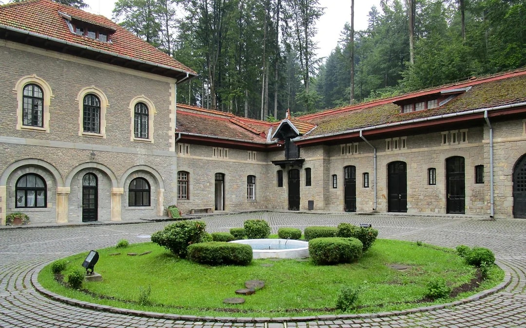 From Bucharest: Peles Castle, Bran Castle & Cantacuzino Castle ('Wednesday Castle') Tour
 Image 8