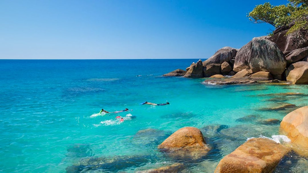 Snorkelers exploring clear waters near rocky shore on Fitzroy Island tour.