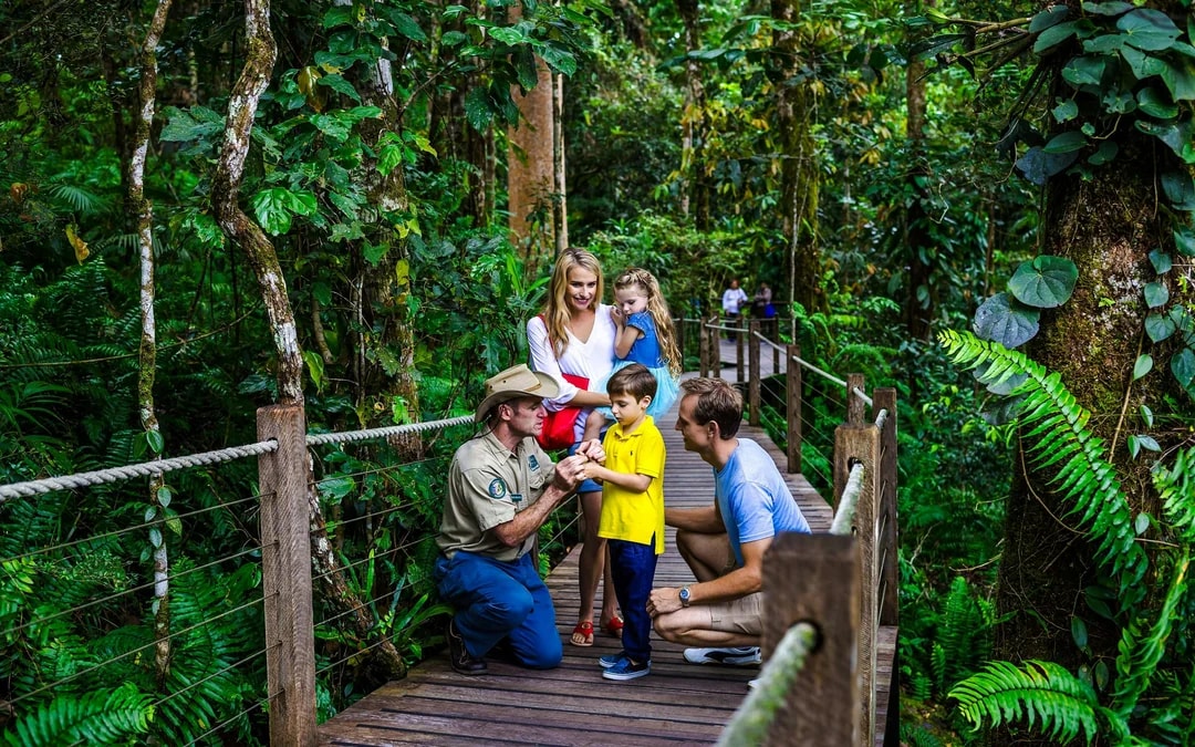 From Cairns: Scenic Train & Coach Guided Tour with Transfers Image 7
