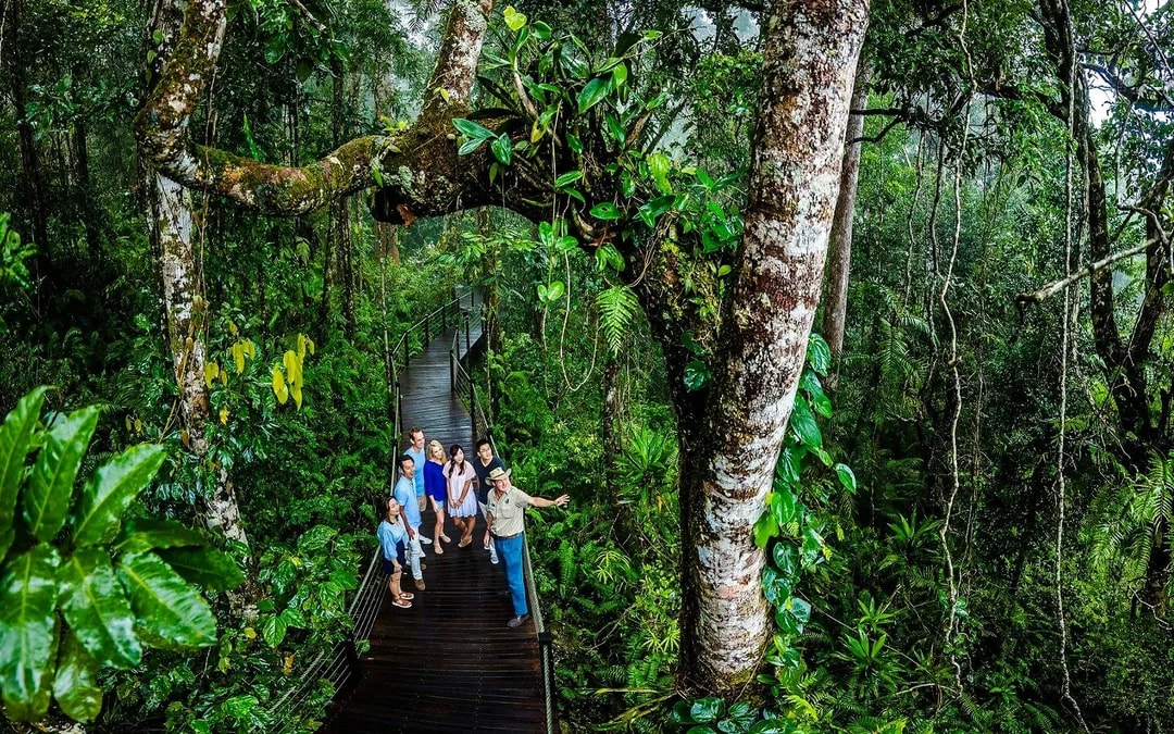 From Cairns: Scenic Train & Coach Guided Tour with Transfers Image 8