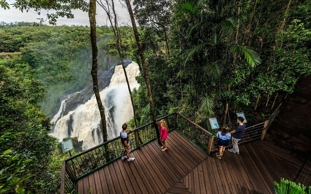 From Cairns: Scenic Train & Coach Guided Tour with Transfers Image 9