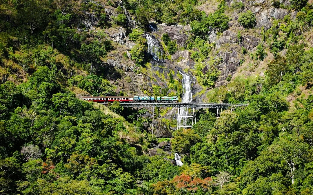 From Cairns: Scenic Train + Coach, Hartley's Crocodile Adventure Guided Tour with Transfers Image 7