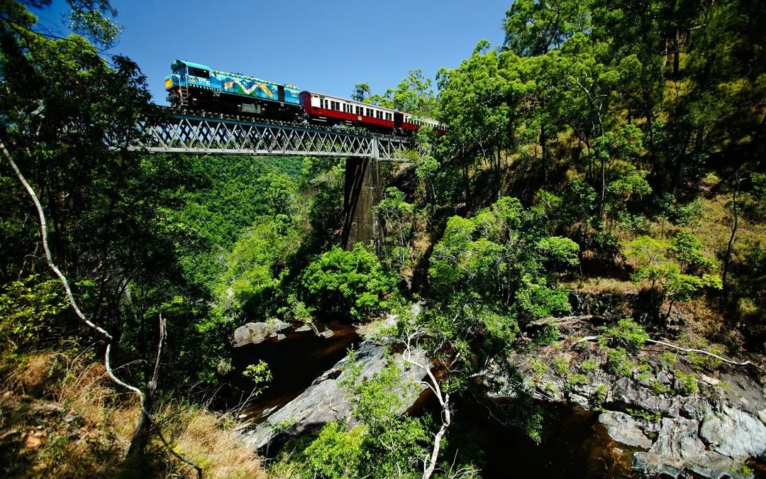 From Cairns: Self-Drive to Kuranda + Scenic Train Tour with In-Kuranda Transfers Image 8