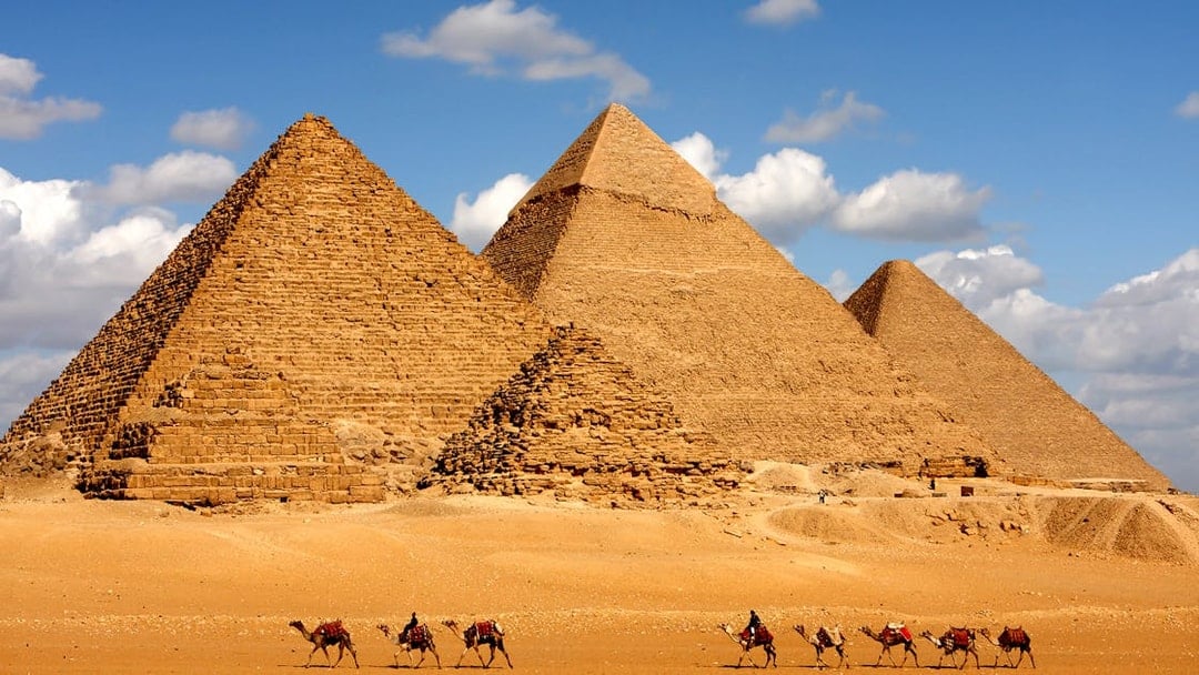 Camels walking in front of the Pyramids of Giza under a blue sky.