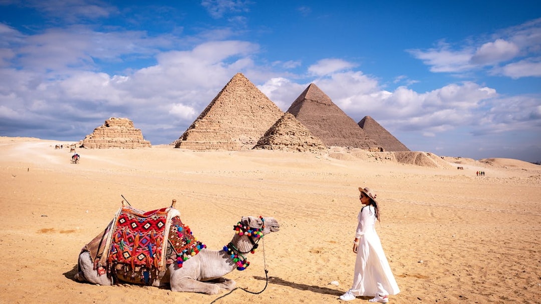 Woman with camel in front of the Pyramids of Giza, Egypt.