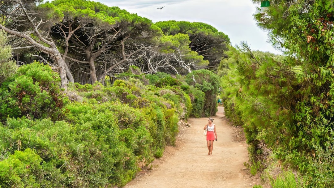 Pathway through lush greenery on Ste. Marguerite Island, France, with a person walking.