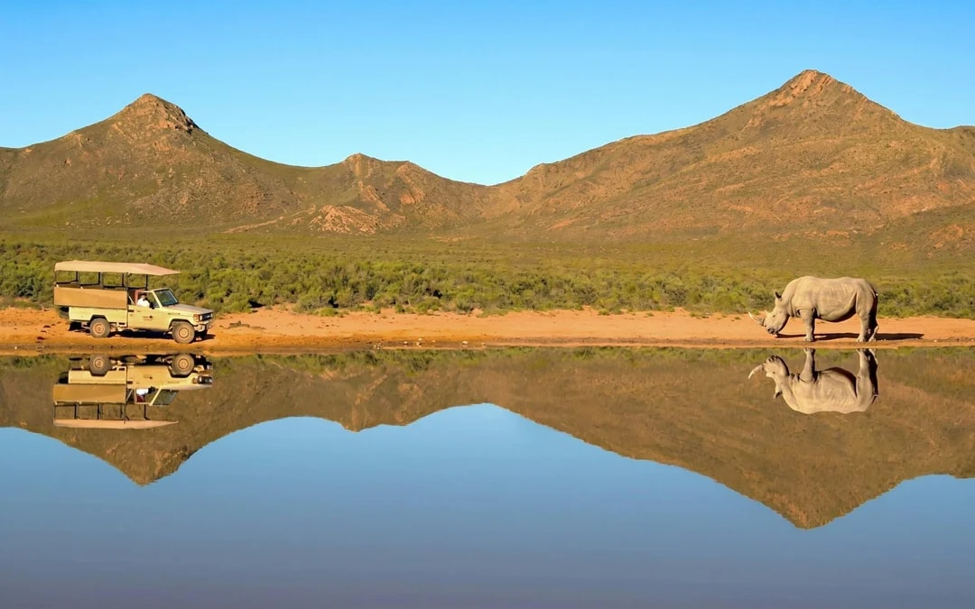 From Cape Town: Full-Day Big Five Safari Experience with Lunch at Aquila Game Reserve Image 5
