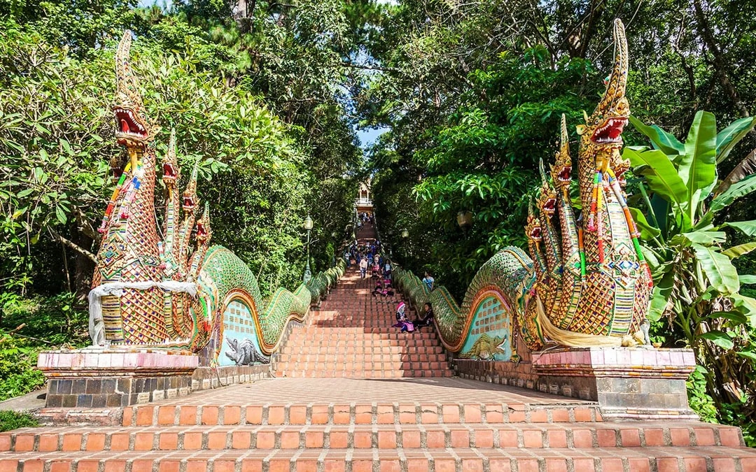 From Chiang Mai: Doi Inthanon National Park Full-Day Tour with Pha Dok Siew Guided Trek Image 2