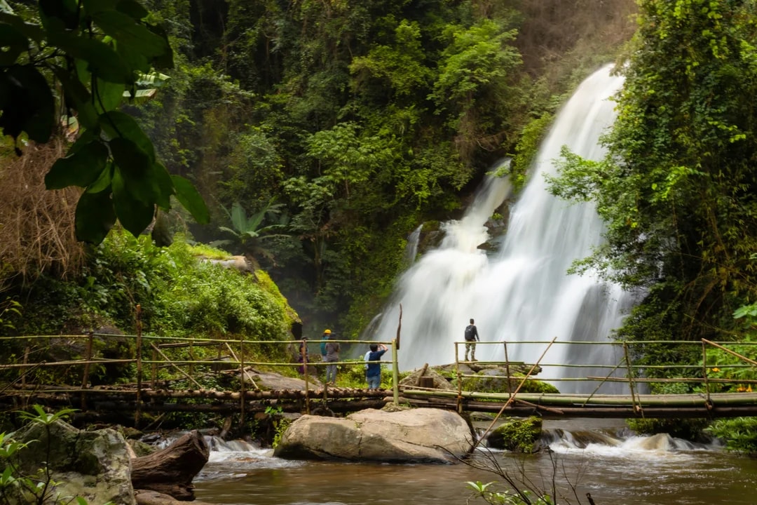 From Chiang Mai: Doi Inthanon National Park Full-Day Tour with Pha Dok Siew Guided Trek Image 3