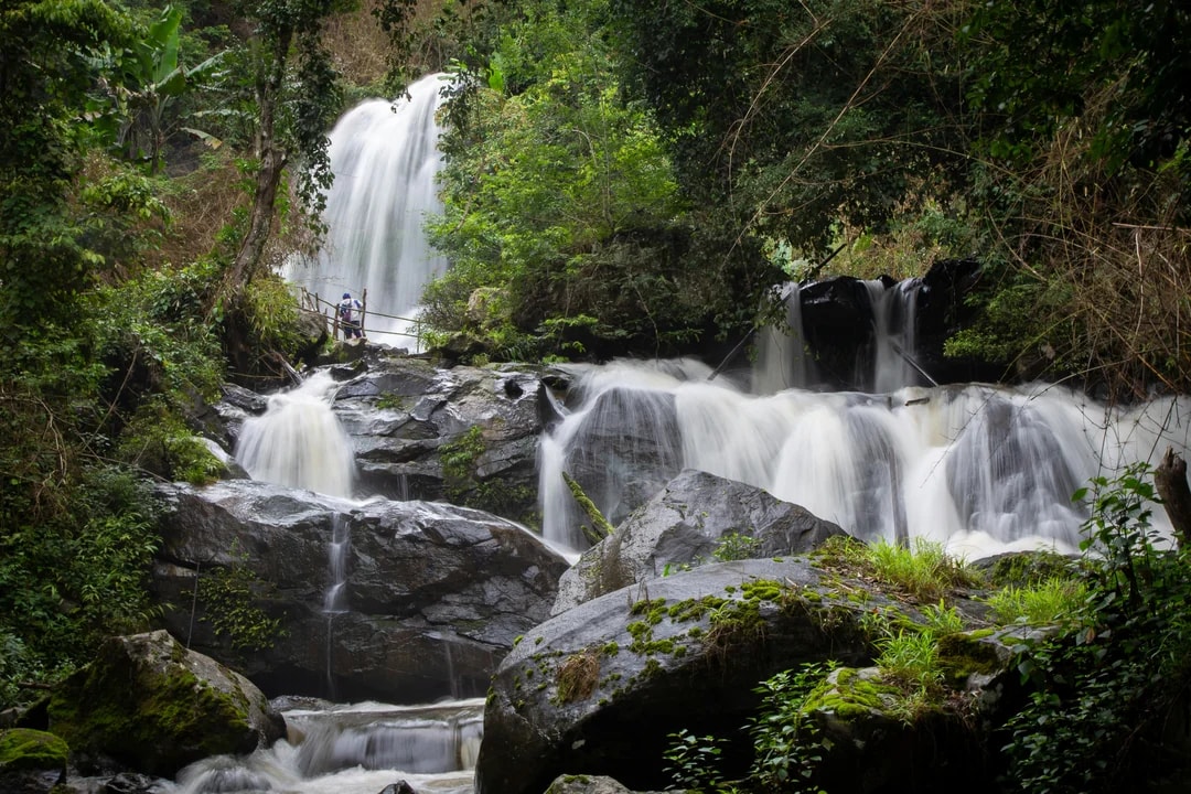 From Chiang Mai: Doi Inthanon National Park Full-Day Tour with Pha Dok Siew Guided Trek Image 4