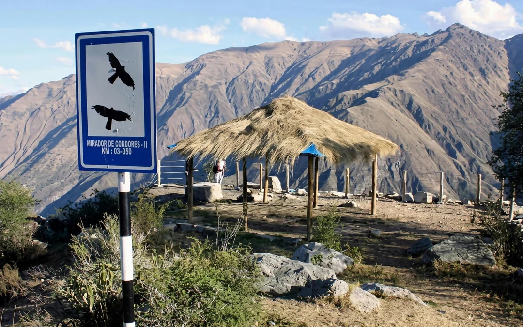 From Cusco: Chonta Canyon & Andean Condor Flight Tour with Lunch Image 2