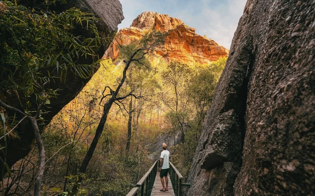 From Darwin: 3 Day Kakadu + Litchfield 4WD Adventure Camping Tour Image 8