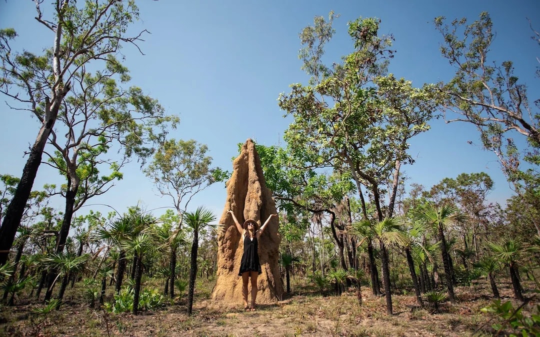 From Darwin: 3 Day Kakadu + Litchfield 4WD Adventure Camping Tour Image 9