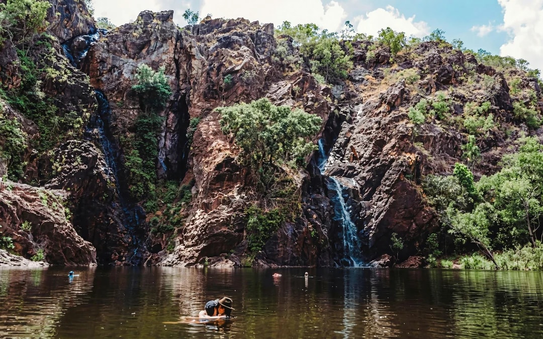 From Darwin: Litchfield & Waterfalls Tour with Transfers Image 8