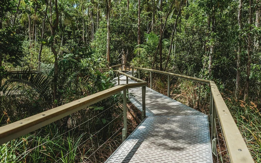 From Darwin: Litchfield & Waterfalls Tour with Transfers Image 9