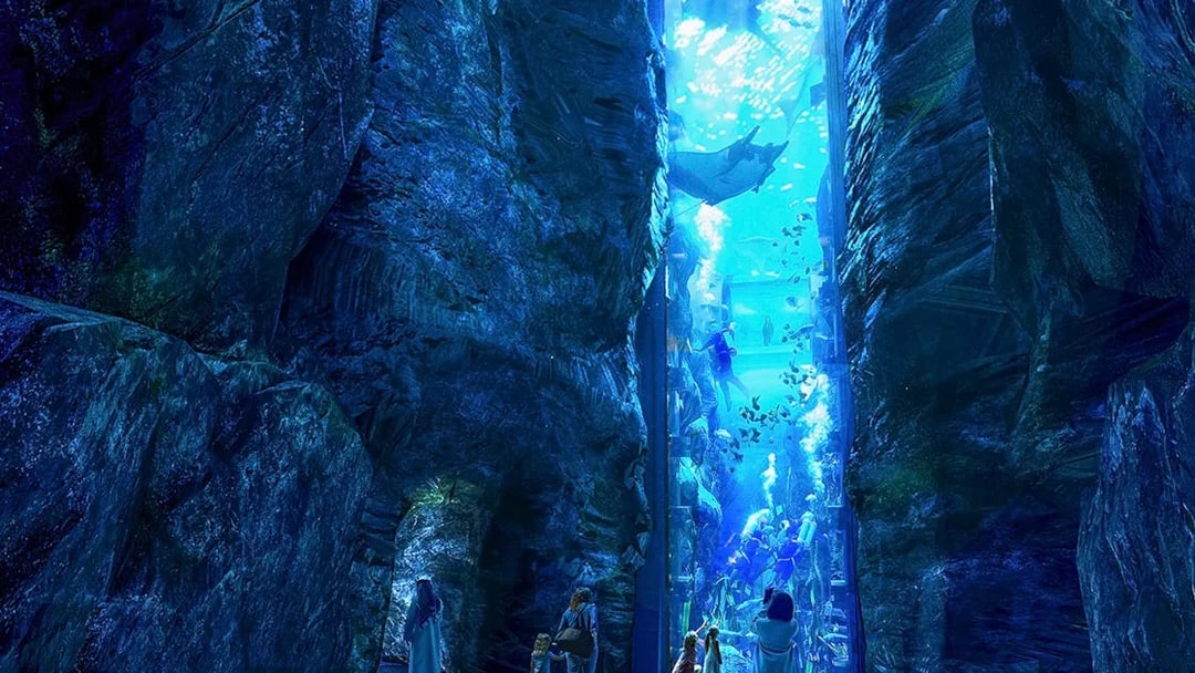 Visitors observing divers and marine life in a large aquarium at Sea World Abu Dhabi.