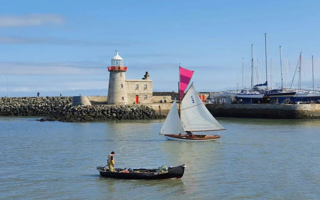 From Dublin: Half-Day Guided Coastal Tour to Howth Village