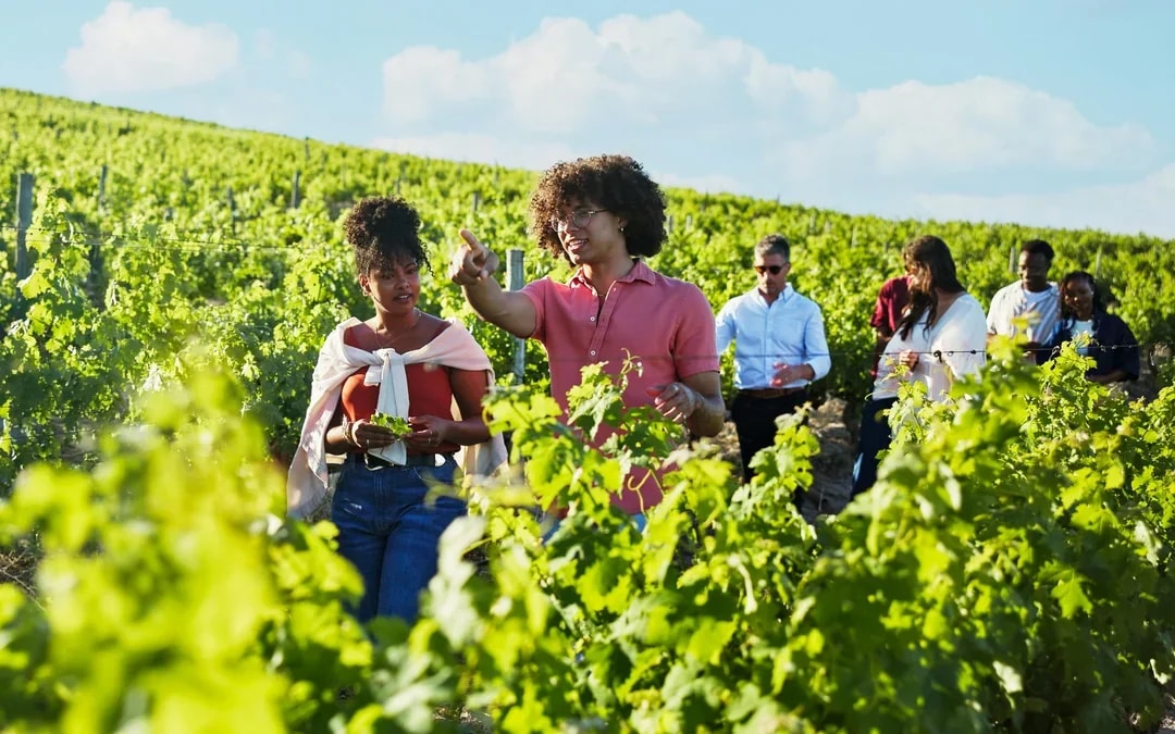 From Dubrovnik: Korcula & Ston Private Tour with Wine Tasting Image 5