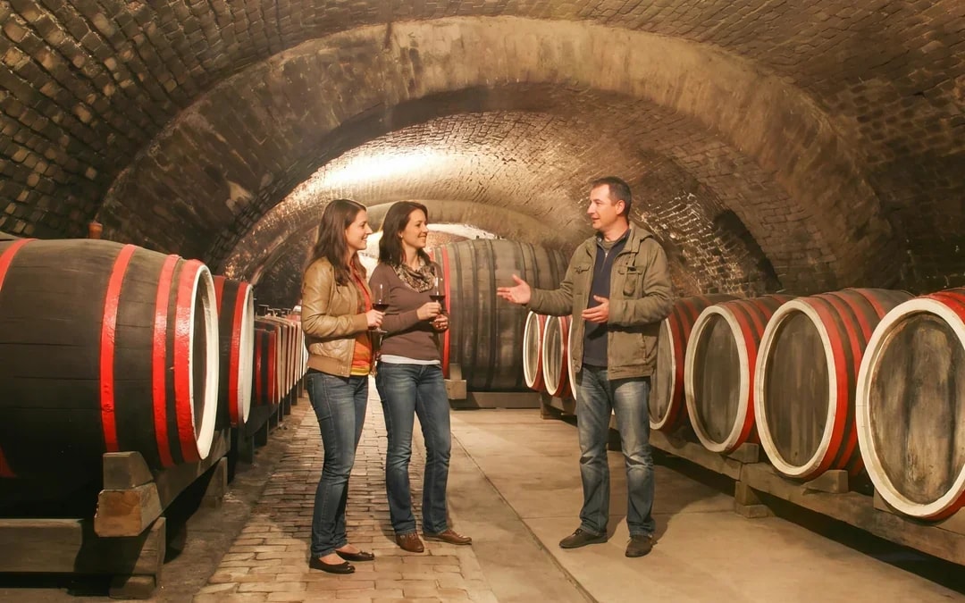 From Dubrovnik: Korčula & Ston Small Group Tour with Wine Tasting Image 4