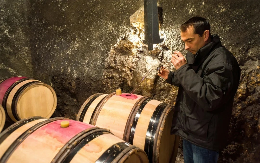 From Dubrovnik: Pelješac Peninsula Small Group Wine Tour Image 2