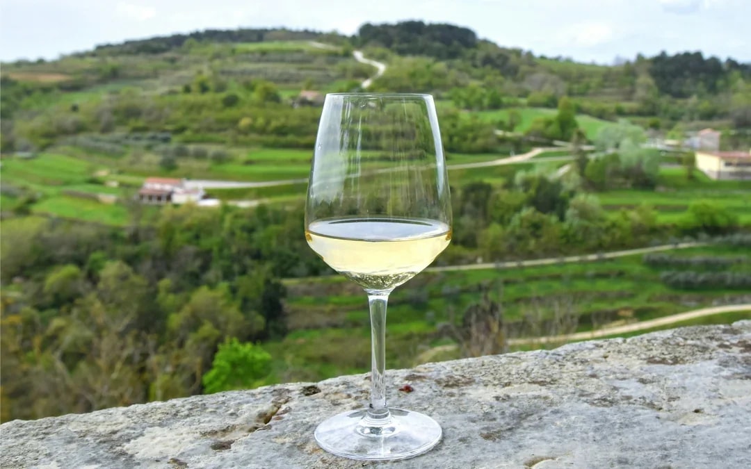 From Dubrovnik: Pelješac Peninsula Small Group Wine Tour Image 5