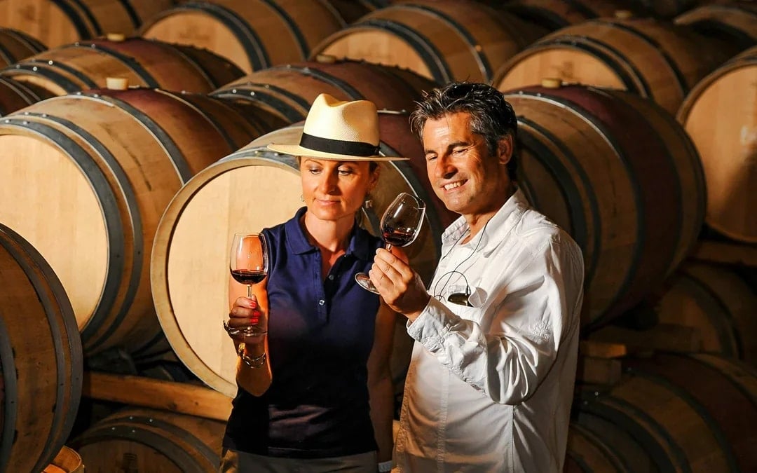 From Dubrovnik: Pelješac Wine Region Private Tour with Winery Visits Image 1