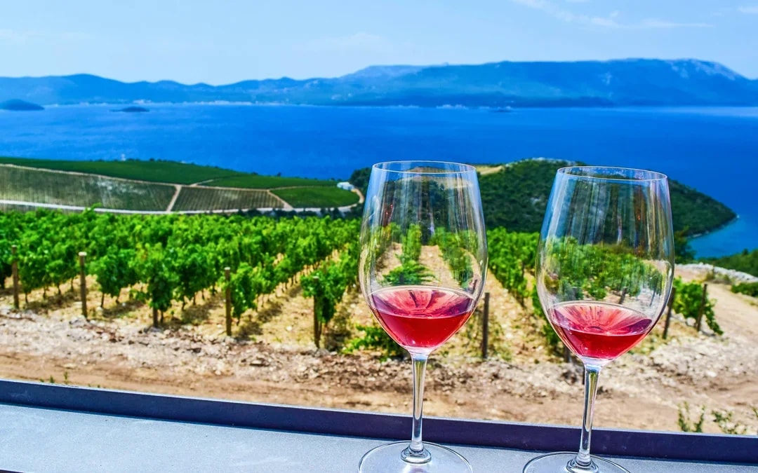 From Dubrovnik: Pelješac Wine Region Private Tour with Winery Visits Image 3