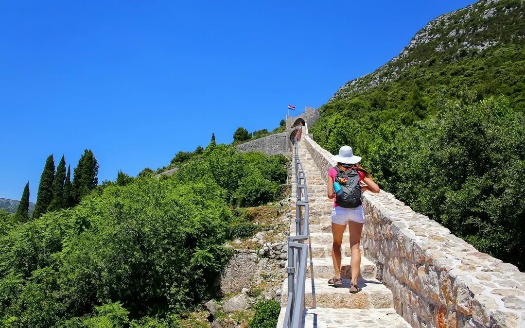 From Dubrovnik: Pelješac Wine Region Private Tour with Winery Visits Image 4