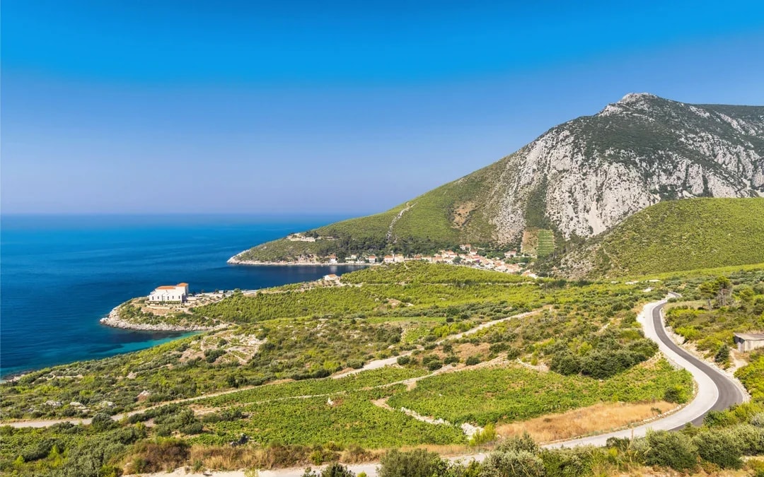 From Dubrovnik: Pelješac Wine Region Private Tour with Winery Visits Image 6