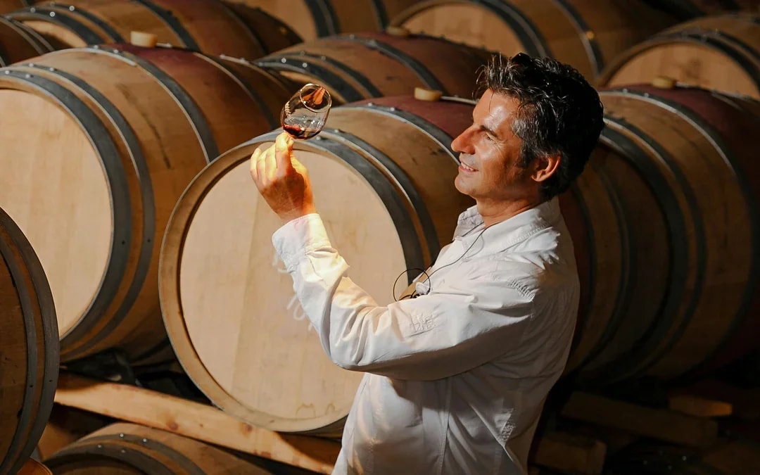 From Dubrovnik: Pelješac Wine Region Private Tour with Winery Visits Image 8