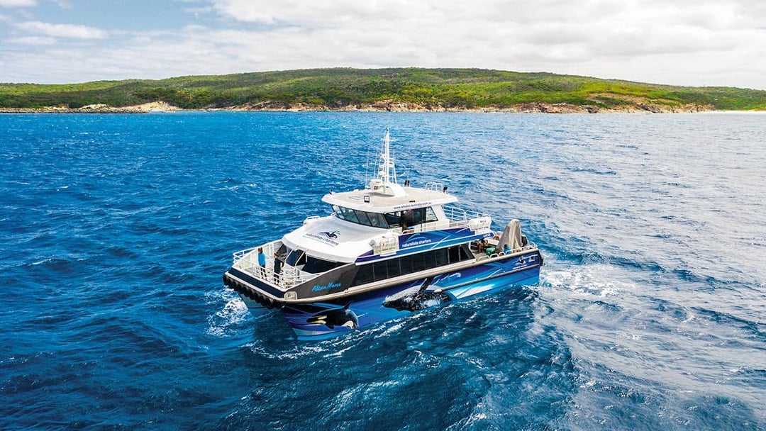 From Dunsborough: Whale Watching Cruise, Perth