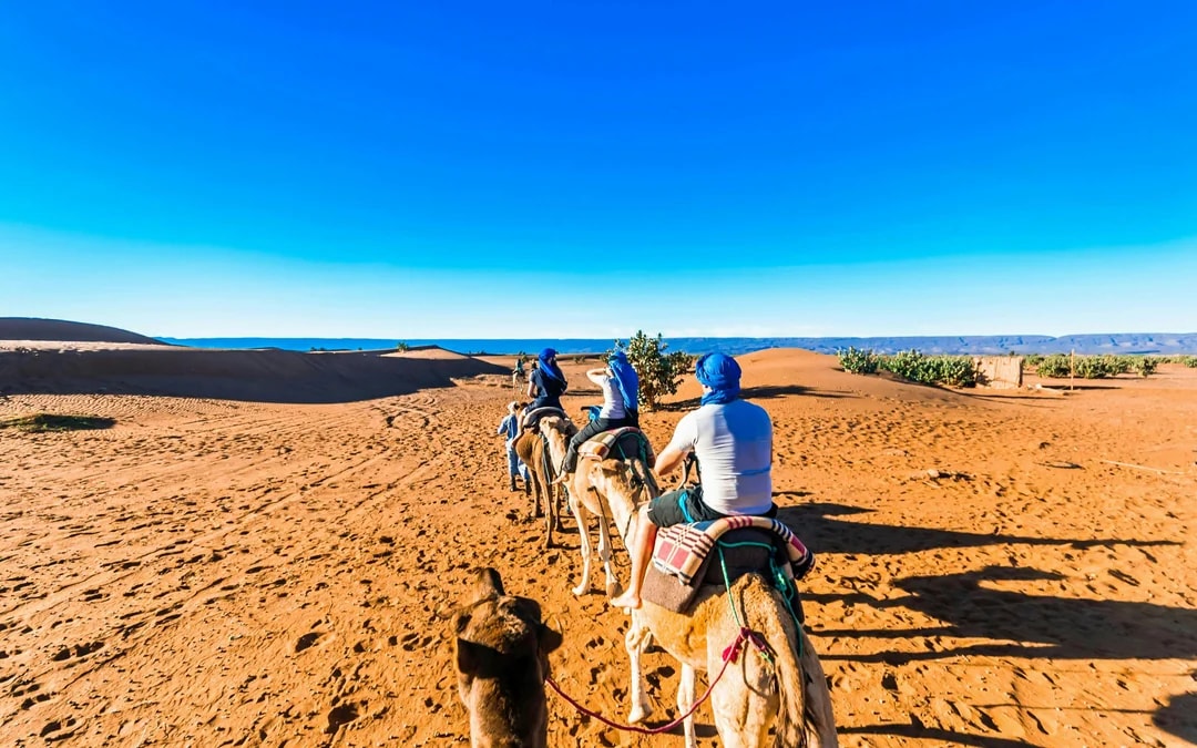 From Fes to Marrakesh 4-Day Small-Group Merzouga Tour with Camel Trek, Sandboarding, Dades & Todra Gorges Image 10
