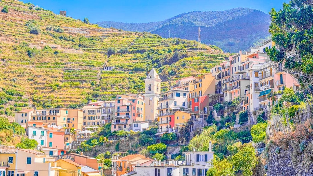 Colorful hillside village in Cinque Terre with terraced vineyards and a church tower.