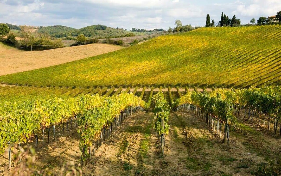 From Florence: Siena & San Gimignano Day Trip with Round Trip Transfers Image 4