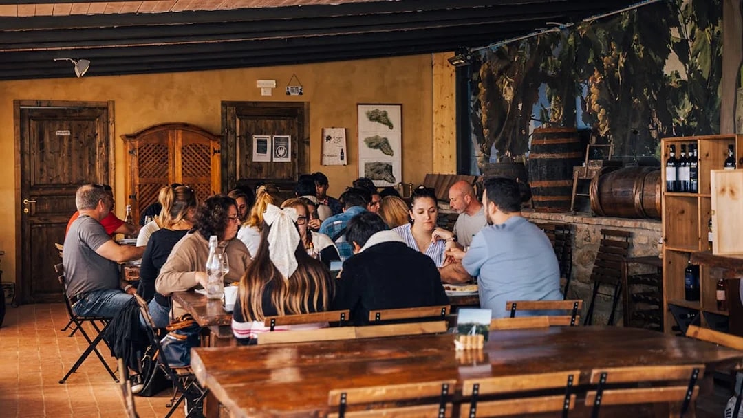 Group enjoying wine tasting in a Tuscan winery, Tuscany in a Day tour.