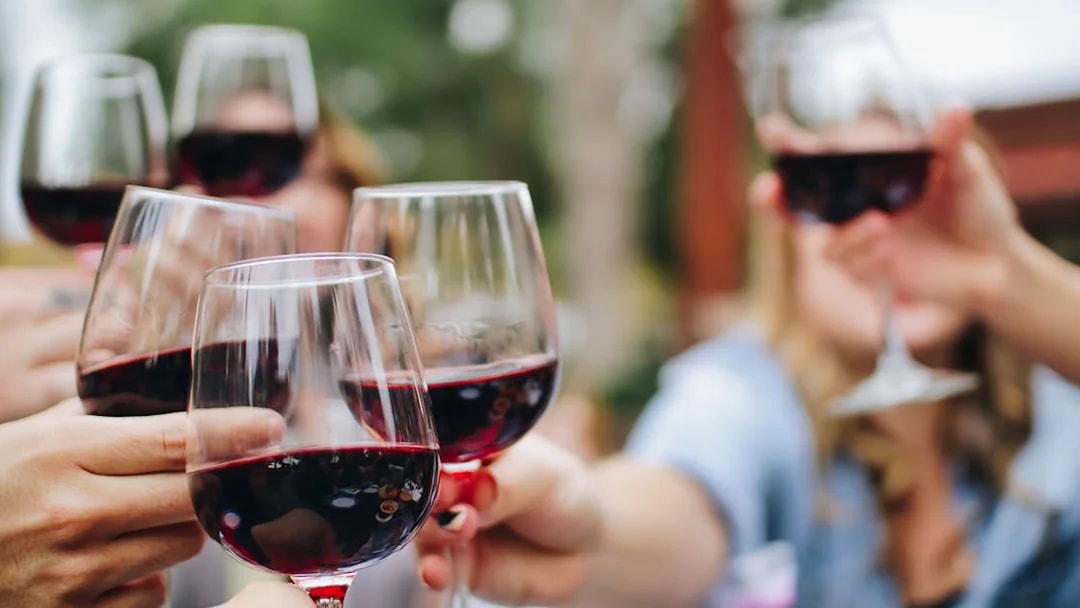 Wine glasses raised in a toast during a Tuscany tour in Siena, San Gimignano, and Pisa.