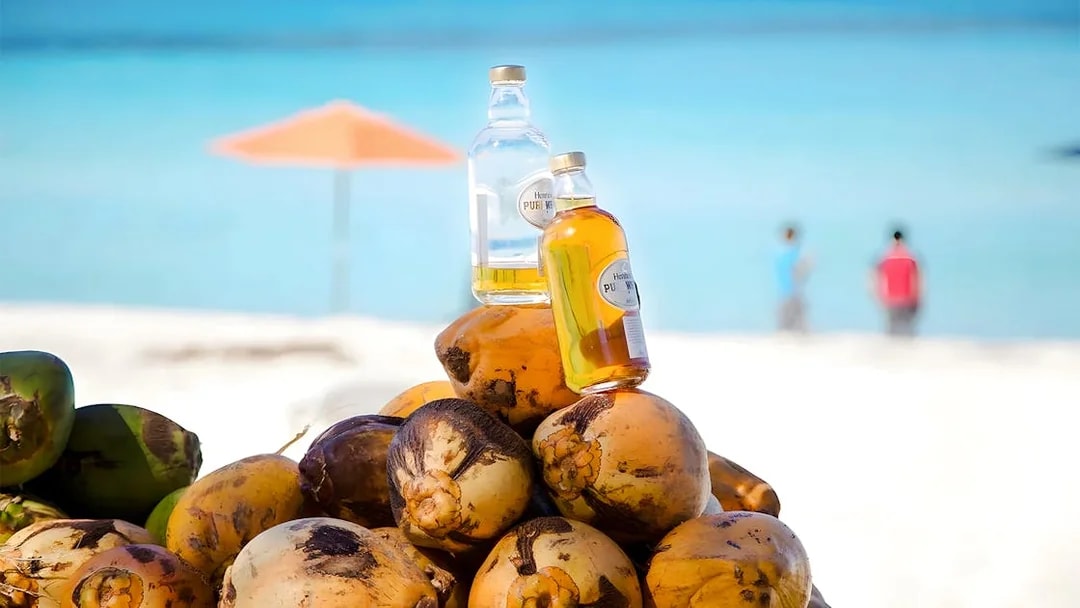 Coconuts and rum bottles on a beach in Bimini, Bahamas with ocean view.