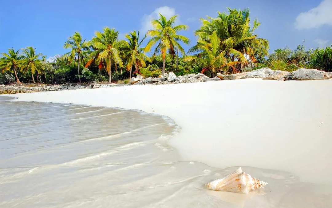 From Fort Lauderdale: Bimini Bahamas Day Trip by Ferry Image 3
