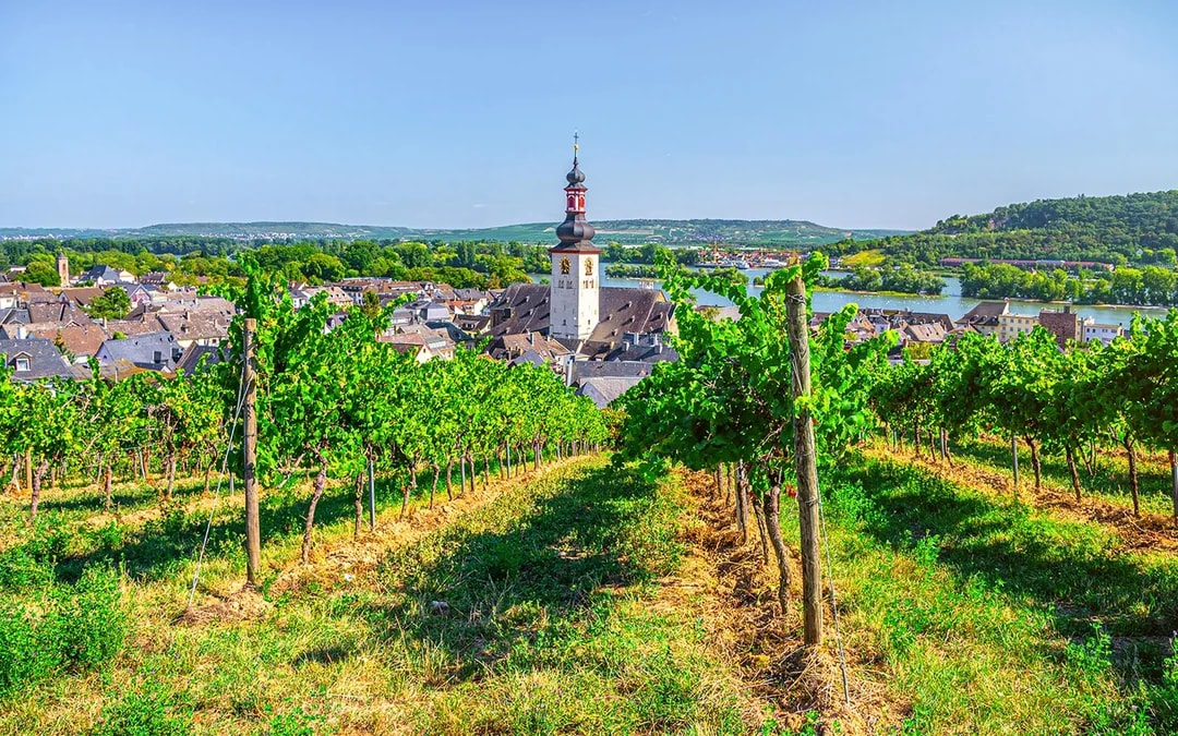 From Frankfurt: Rhine Valley Day Trip Image 7