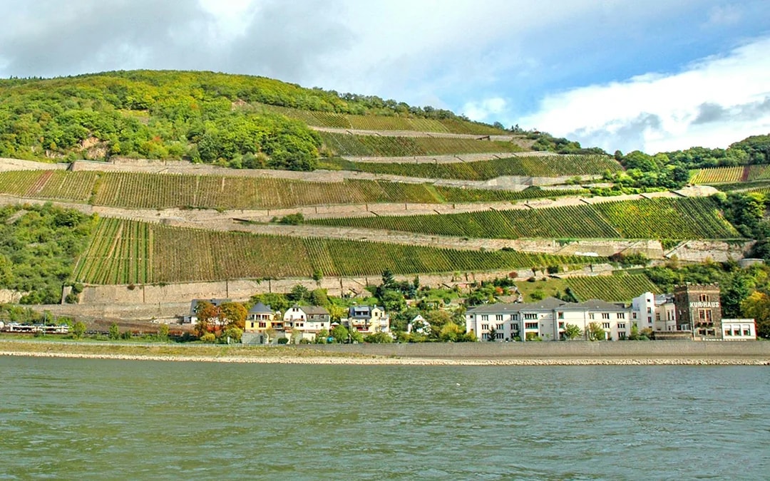 From Frankfurt: Rhine Valley Day Trip Image 8