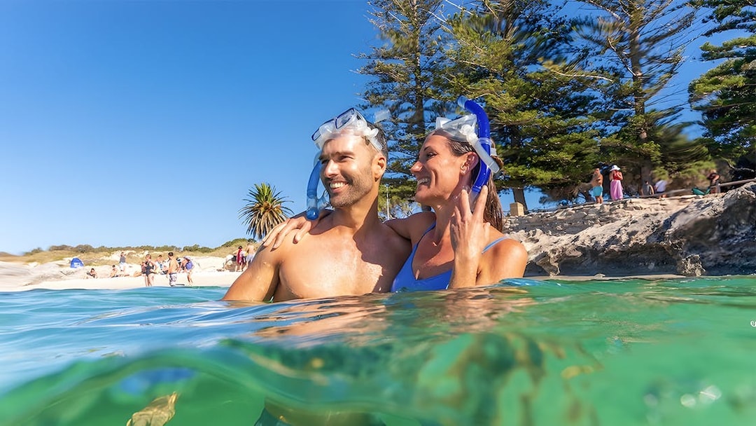 Couple snorkeling near Rottnest Island beach with clear water and trees in the background.
