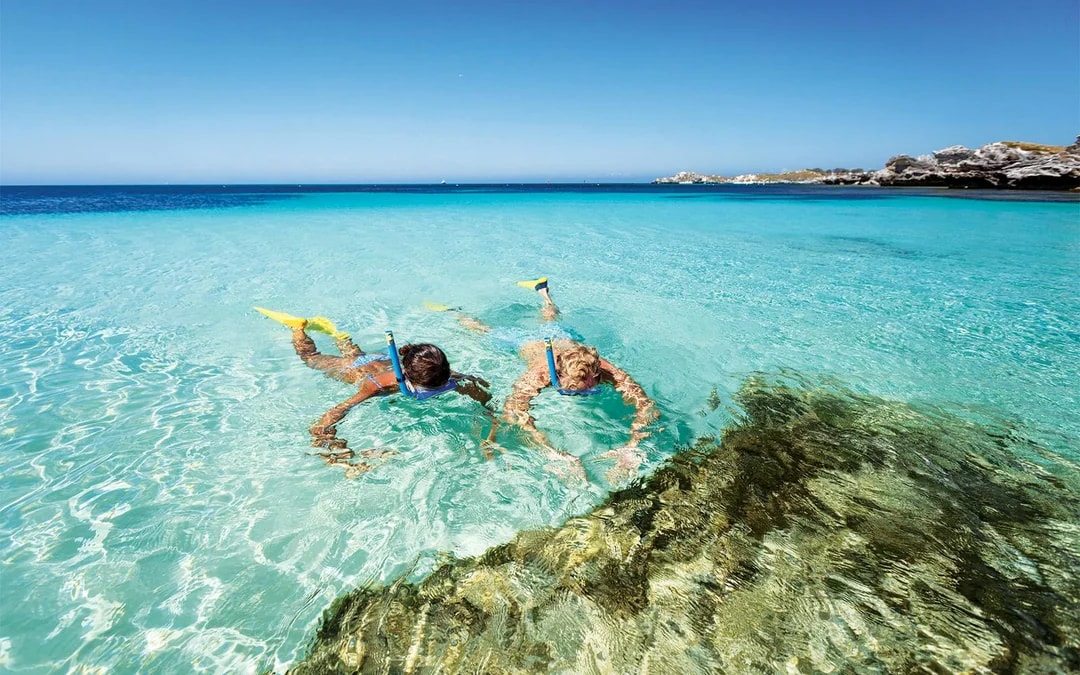 From Fremantle: Rottnest Island Return Ferry with Bike or Bus Tour Options Image 2