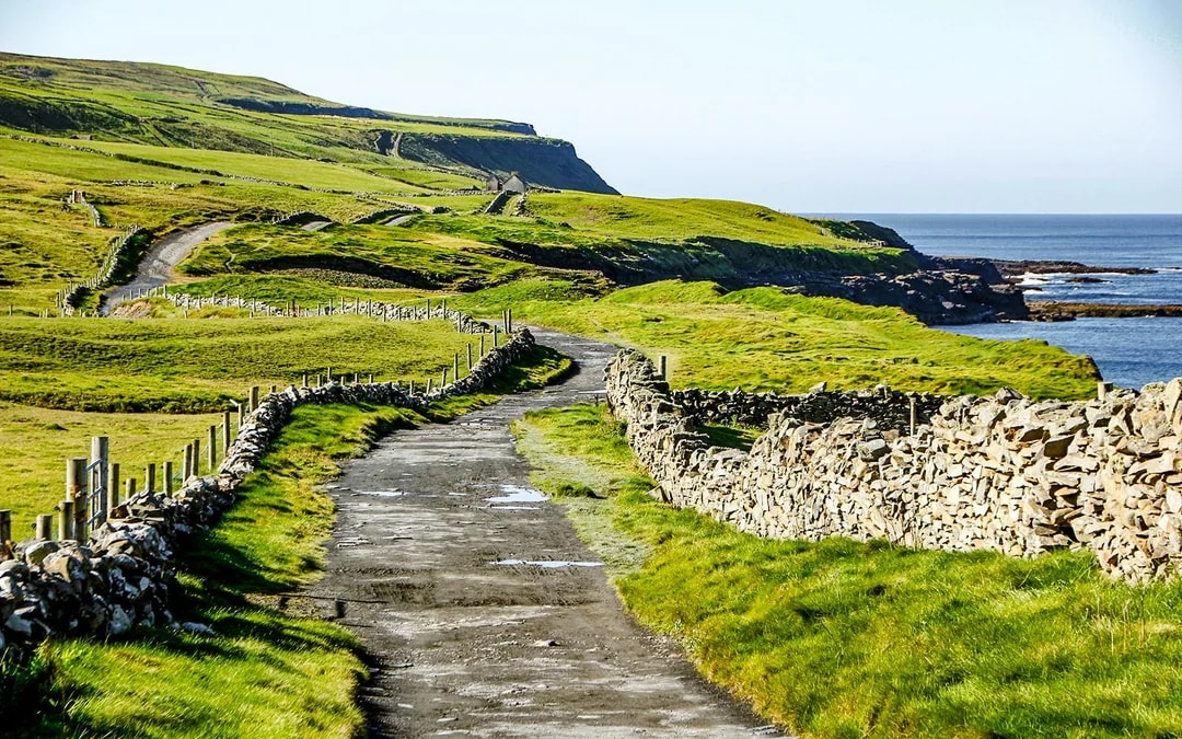 From Galway: Cliffs of Moher & Burren Day Tour with Aillwee Cave Image 12