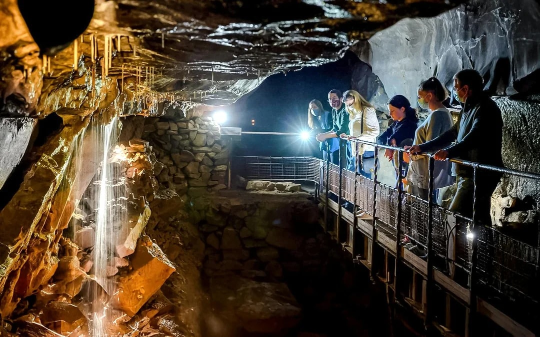 From Galway: Cliffs of Moher & Burren Day Tour with Aillwee Cave Image 8