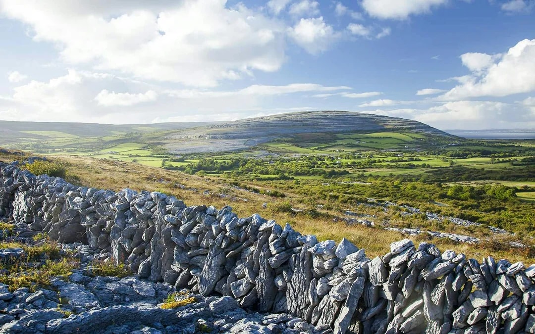 From Galway: Cliffs of Moher & Burren Day Tour with Aillwee Cave Image 9