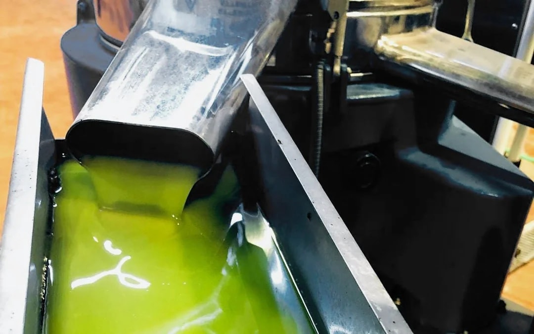 From Granada: Olive Oil Mill Excursion in the Lecrín Valley Image 4