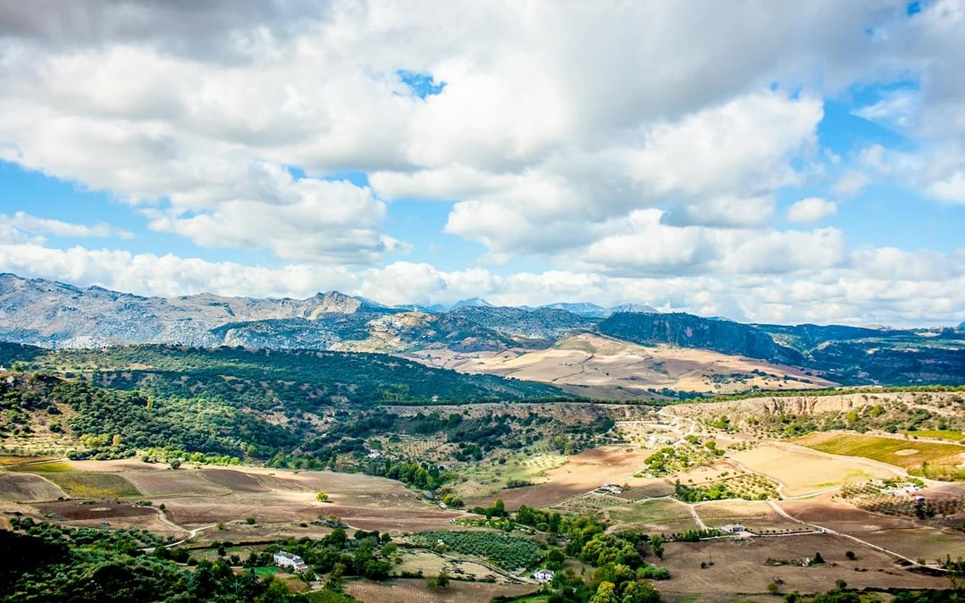 From Granada: Ronda Day Trip Image 10