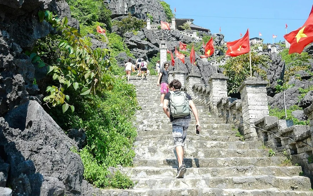 From Hanoi: Ninh Binh Small-Group Day Trip to Hoa Lu, Tam Coc or Trang An, and Mua Cave Image 3