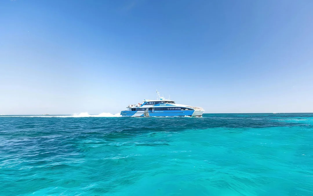 From Hillarys: Rottnest Island Return Ferry Image 10